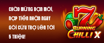 Ưu Đãi Nạp Lần Đầu promotion